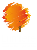 Lumiere24